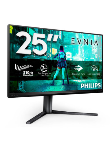Philips Evnia 3000...