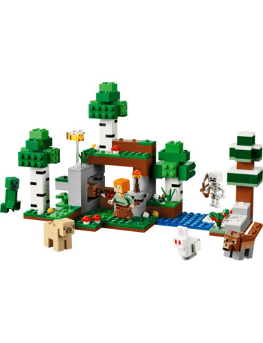 LEGO MINECRAFT 21593 First...