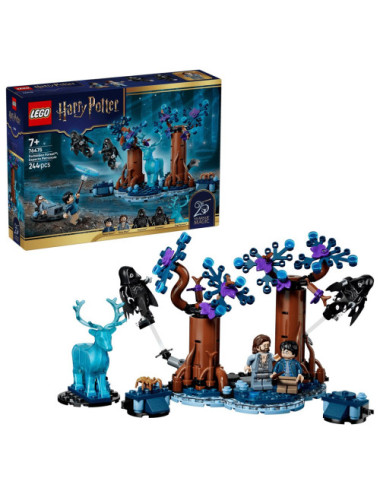 LEGO HARRY POTTER 76475...