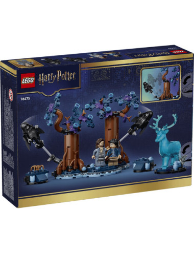 LEGO HARRY POTTER 76475...