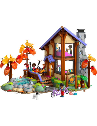 LEGO FRIENDS 42705 Cozy...