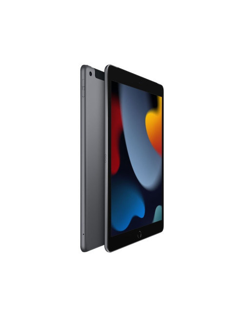 Apple iPad 10.2" 9th Gen Space Grey, Retina IPS LCD, A13 Bionic, 3 GB, 256 GB, Wi-Fi, 12 MP, 8 MP, Bluetooth, 4.2, iPadOS, 15, 1