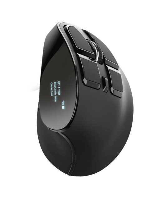 MOUSE USB OPTICAL ERGONOMIC/VOXX 23731 TRUST