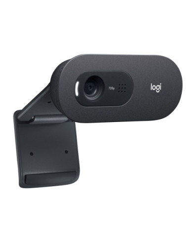 Logitech C505 HD Webcam