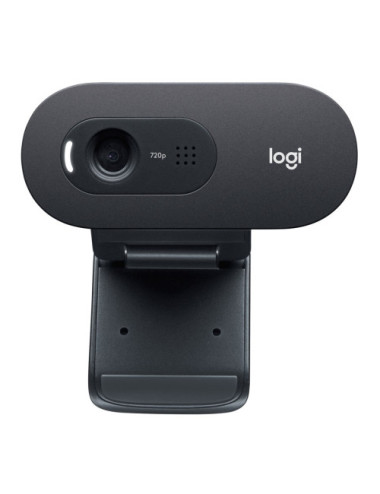 Logitech C505 HD Webcam