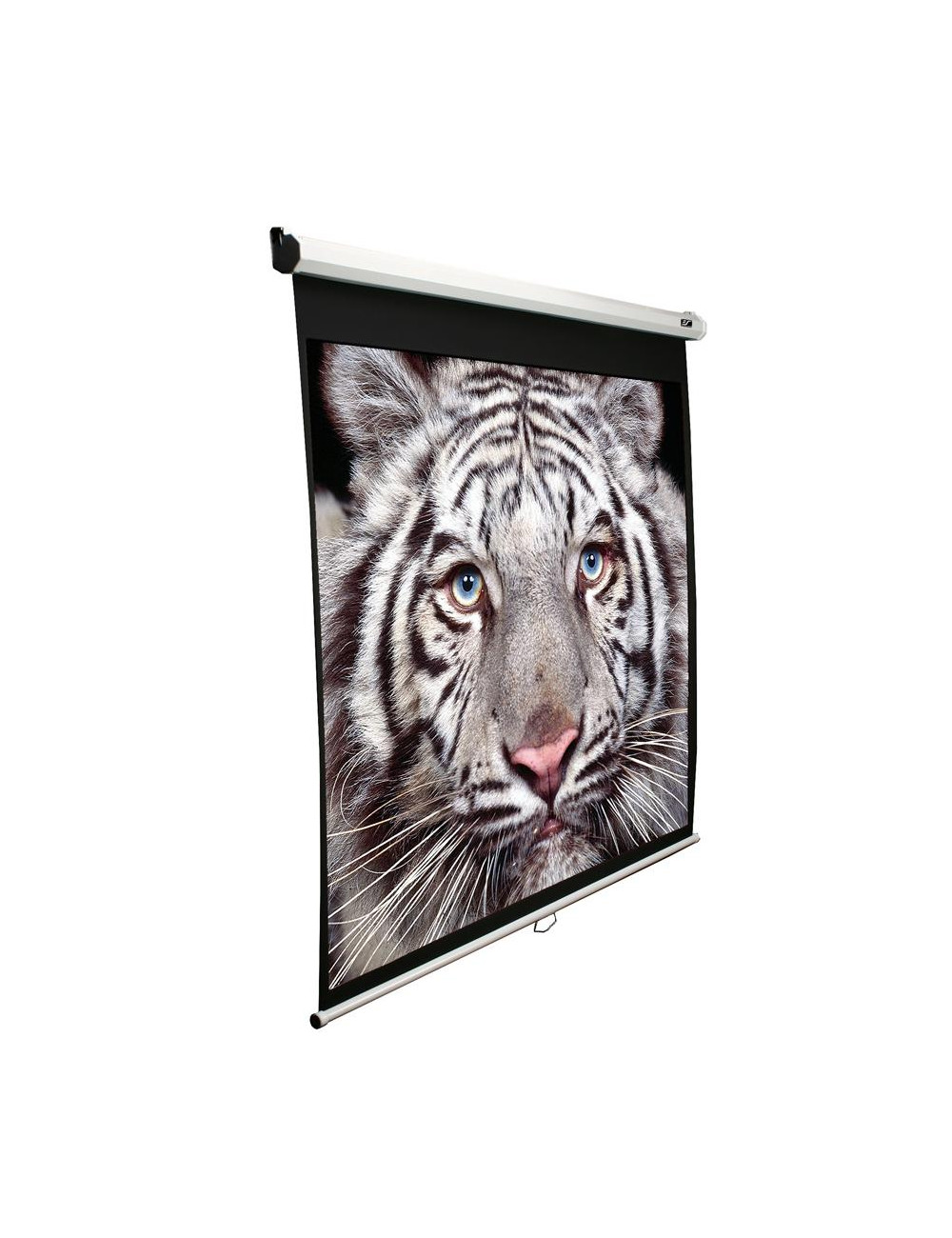 Elite Screens Manual Series M120XWV2 Diagonal 120 ", 4:3, Viewable screen width (W) 244 cm, White