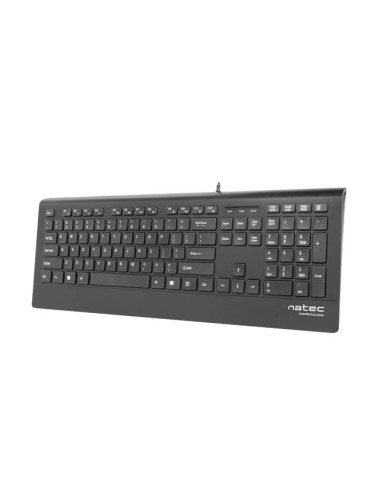 Natec Keyboard, Barracuda, US Layout, Slim
