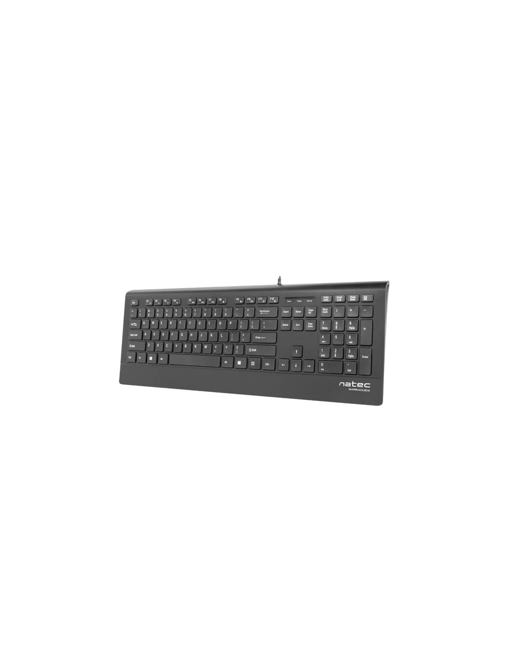 Natec Keyboard, Barracuda, US Layout, Slim