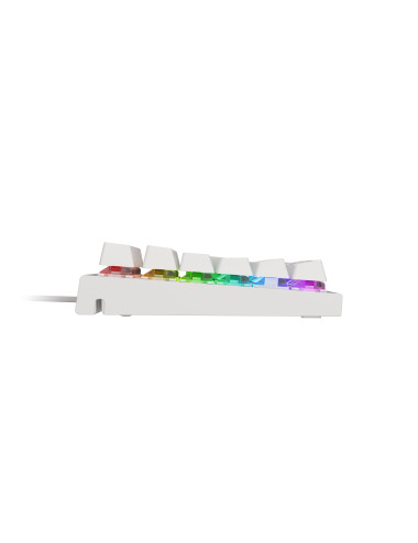 Genesis THOR 303 Gaming keyboard, RGB LED light, US, White, Wired, Brown Switch